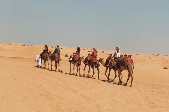 Tour image 7