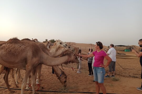 Tour image 3