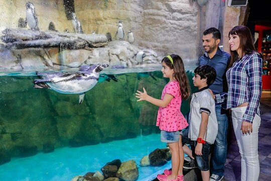 Tour image 3